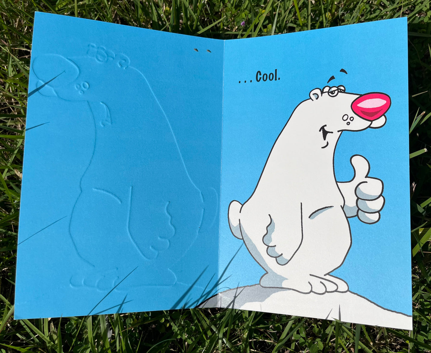 polar bear birthday card